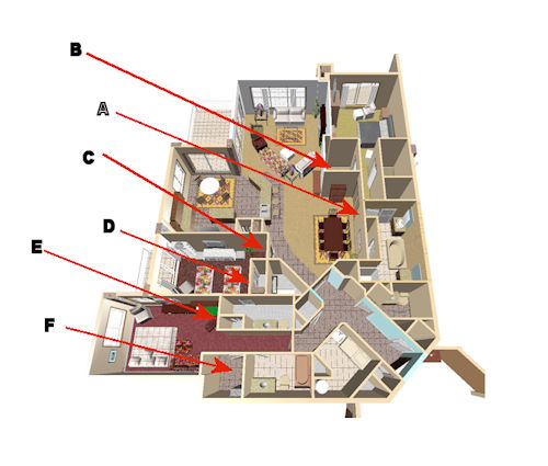 SP XX01 Final Layout.jpg